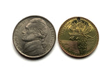 2014 Colombia 100 Pesos coin pendant Frailejón fruta Colombiana Bogota sunflower Valle del Cauca Soledad Bello Ibagué Villavicencio n000633
