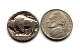 USA 5 Cents Buffalo Nickel coin pendant Black Diamond Bisson Native American Chief Iron Tail Oglala Sioux Lakota Big Tree Kiowa n003921