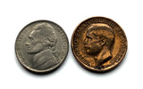 1922 Italia Italy 10 Centesimi coin pendant necklace honey bee bumble bee beekeeper honey farmers pollination beehive Roma Milan Florence Venice Verona Napoli Turin Palermo Parma Bergamo Pisa Matera Genoa Siena Modena Bari Sorrento Perugia Tuscany n000539
