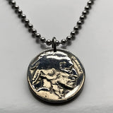 USA 5 Cent Buffalo Indian Head nickel coin pendant native American bison Chief Iron Tail New York Washington Nebraska n000563