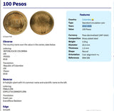 2014 Colombia 100 Pesos coin pendant Frailejón fruta Colombiana Bogota sunflower Valle del Cauca Soledad Bello Ibagué Villavicencio n000633