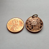 2005 Austria Osterreich 2 Euro Cent coin pendant Edelweiss mountain flower Alpine plant daisy sunflower botanical Vienna Graz Linz Salzburg Innsbruck Klagenfurt Villach Wels Sankt Pölten Dornbirn Wiener Edelweiß planika floare de colț  n000567
