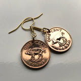 1978 or 1997 Bermuda 1 Cent coin earrings wild boar pig Hamilton swine hog money Paget Pembroke Sandys Smith's snorkeling British e000012